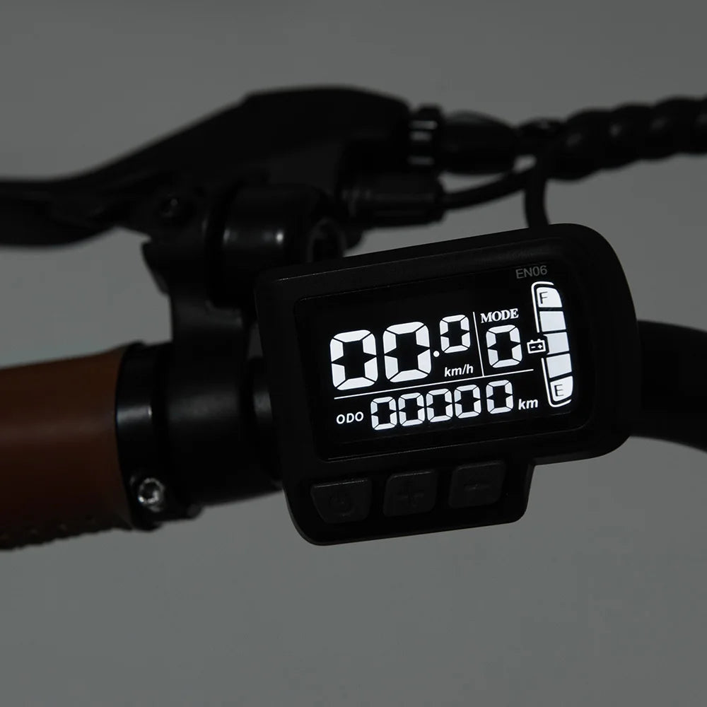 DYU C6 Pro Electric Bike