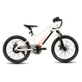 JOYSTAR Kids Electric Bike