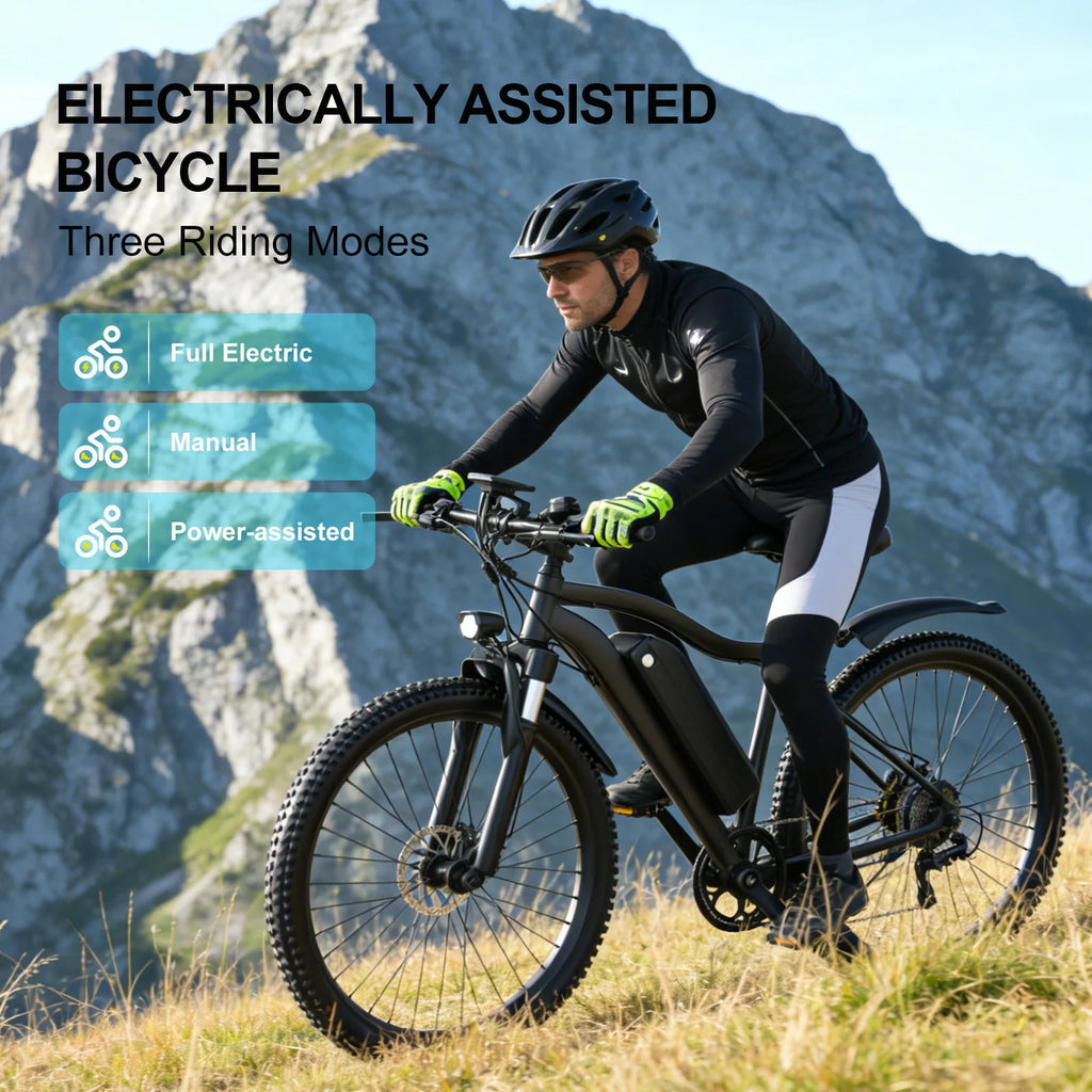 Toofly G73 Mountain E-Bike