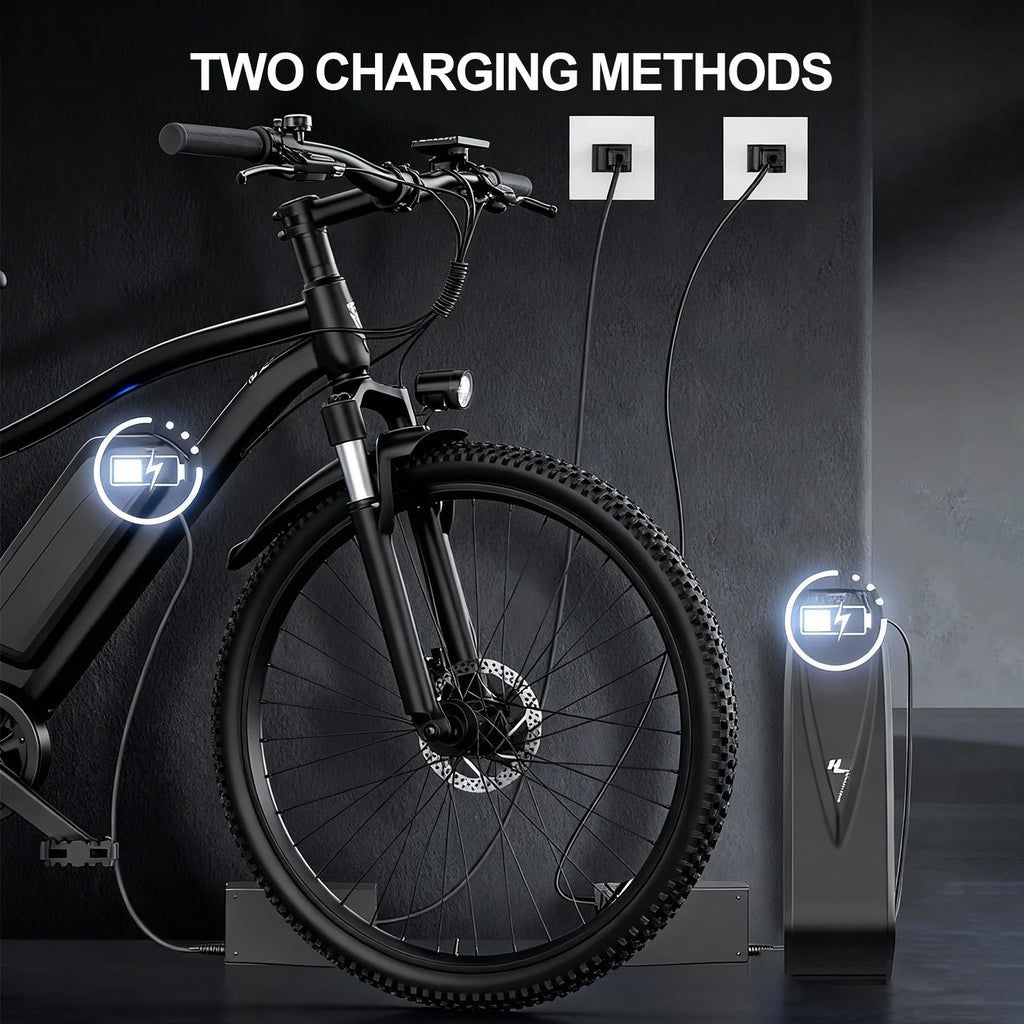 Toofly G73 Mountain E-Bike
