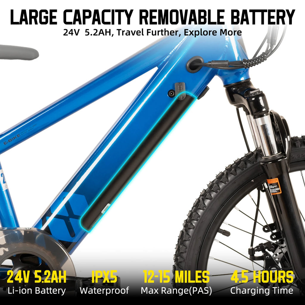 JOYSTAR Kids Electric Bike