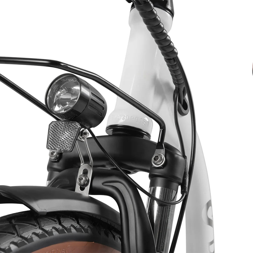 DYU C6 Pro Electric Bike